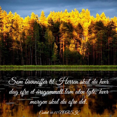 Picture 03 - Esekiel 46:13 NORSK - Som brennoffer til Herren skal du hver dag ofre - Bible Verse Picture
