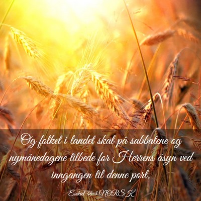 Picture 03 - Esekiel 46:3 NORSK - Og folket i landet skal på sabbatene og - Bible Verse Picture