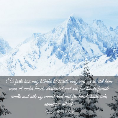 Picture 03 - Esekiel 47:1 NORSK - Så førte han mig tilbake til husets inngang, og - Bible Verse Picture