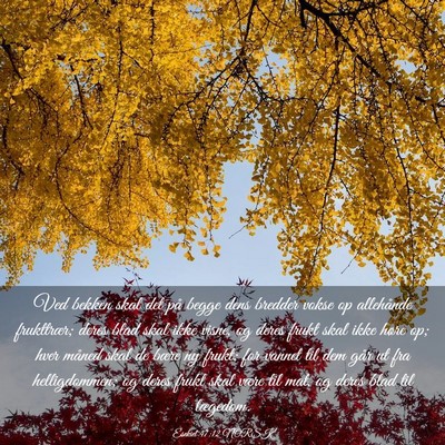 Picture 03 - Esekiel 47:12 NORSK - Ved bekken skal det på begge dens bredder vokse - Bible Verse Picture