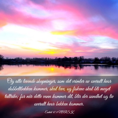Picture 03 - Esekiel 47:9 NORSK - Og alle levende skapninger, som det vrimler av - Bible Verse Picture
