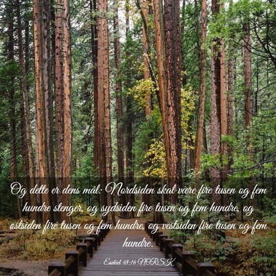 Picture 03 - Esekiel 48:16 NORSK - Og dette er dens mål: Nordsiden skal være fire - Bible Verse Picture