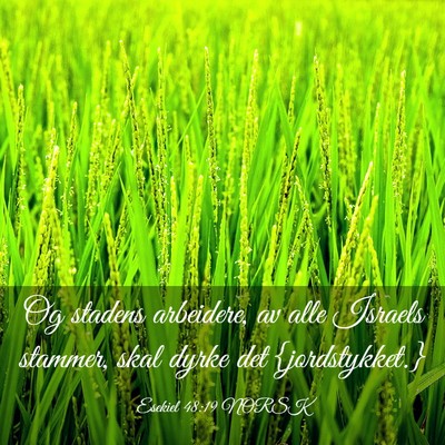 Picture 03 - Esekiel 48:19 NORSK - Og stadens arbeidere, av alle Israels stammer, - Bible Verse Picture