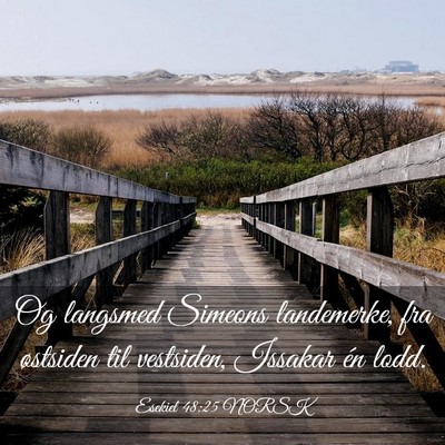 Picture 03 - Esekiel 48:25 NORSK - Og langsmed Simeons landemerke, fra østsiden til - Bible Verse Picture
