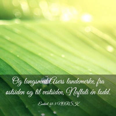 Picture 03 - Esekiel 48:3 NORSK - Og langsmed Asers landemerke, fra østsiden og - Bible Verse Picture