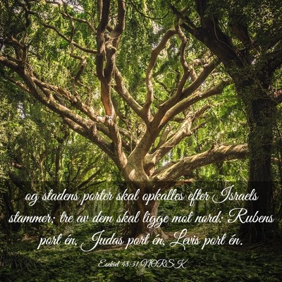 Picture 03 - Esekiel 48:31 NORSK - og stadens porter skal opkalles efter Israels - Bible Verse Picture