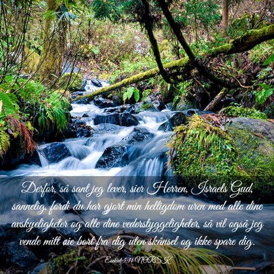 Picture 03 - Esekiel 5:11 NORSK - Derfor, så sant jeg lever, sier Herren, Israels - Bible Verse Picture