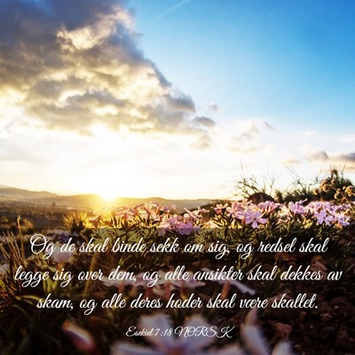 Picture 03 - Esekiel 7:18 NORSK - Og de skal binde sekk om sig, og redsel skal - Bible Verse Picture