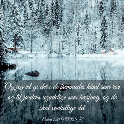 Picture 03 - Esekiel 7:21 NORSK - Og jeg vil gi det i de fremmedes hånd som rov og - Bible Verse Picture
