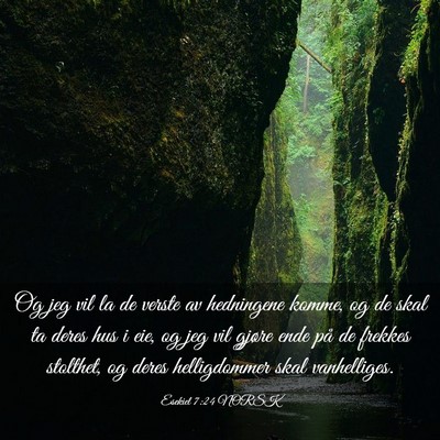 Picture 03 - Esekiel 7:24 NORSK - Og jeg vil la de verste av hedningene komme, og - Bible Verse Picture