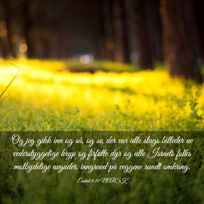 Picture 03 - Esekiel 8:10 NORSK - Og jeg gikk inn og så, og se, der var alle slags - Bible Verse Picture