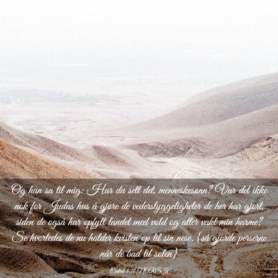 Picture 03 - Esekiel 8:17 NORSK - Og han sa til mig: Har du sett det, - Bible Verse Picture
