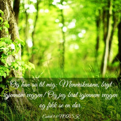 Picture 03 - Esekiel 8:8 NORSK - Og han sa til mig: Menneskesønn, bryt igjennom - Bible Verse Picture