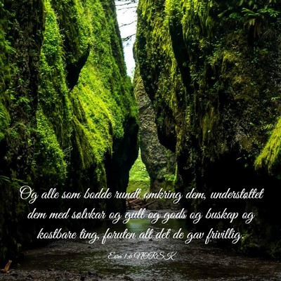 Picture 03 - Esra 1:6 NORSK - Og alle som bodde rundt omkring dem, - Bible Verse Picture