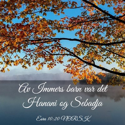 Picture 03 - Esra 10:20 NORSK - Av Immers barn var det Hanani og - Bible Verse Picture