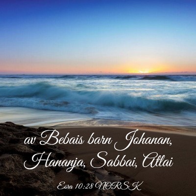 Picture 03 - Esra 10:28 NORSK - av Bebais barn Johanan, Hananja, Sabbai, - Bible Verse Picture