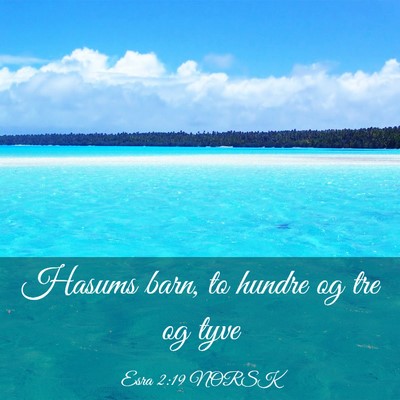Picture 03 - Esra 2:19 NORSK - Hasums barn, to hundre og tre og - Bible Verse Picture