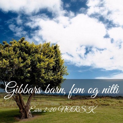 Picture 03 - Esra 2:20 NORSK - Gibbars barn, fem og - Bible Verse Picture