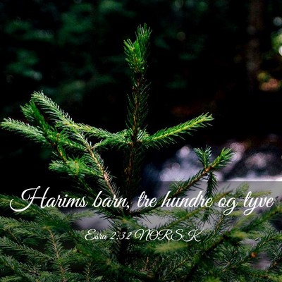 Picture 03 - Esra 2:32 NORSK - Harims barn, tre hundre og - Bible Verse Picture