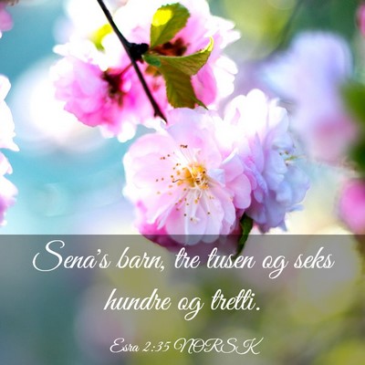 Picture 03 - Esra 2:35 NORSK - Sena's barn, tre tusen og seks hundre og - Bible Verse Picture