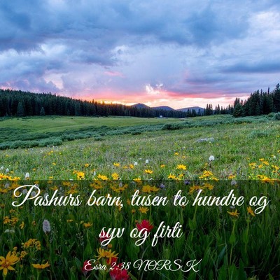 Picture 03 - Esra 2:38 NORSK - Pashurs barn, tusen to hundre og syv og - Bible Verse Picture