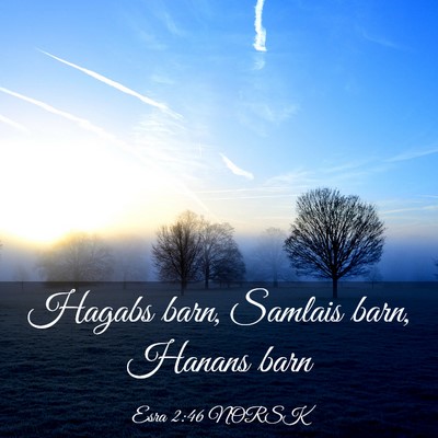 Picture 03 - Esra 2:46 NORSK - Hagabs barn, Samlais barn, Hanans - Bible Verse Picture