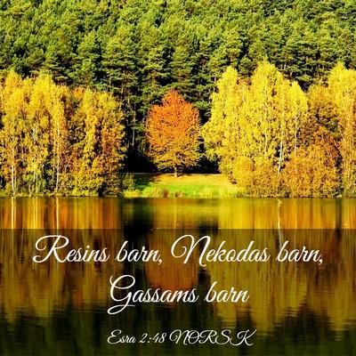 Picture 03 - Esra 2:48 NORSK - Resins barn, Nekodas barn, Gassams - Bible Verse Picture
