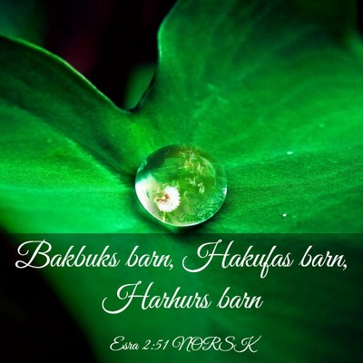 Picture 03 - Esra 2:51 NORSK - Bakbuks barn, Hakufas barn, Harhurs - Bible Verse Picture