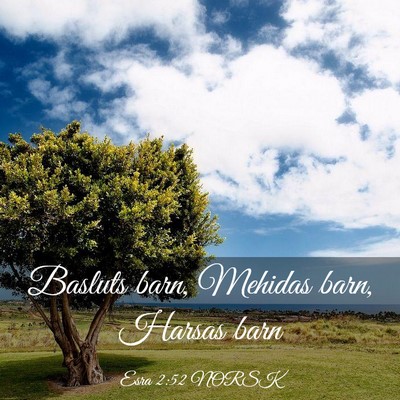 Picture 03 - Esra 2:52 NORSK - Basluts barn, Mehidas barn, Harsas - Bible Verse Picture