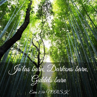 Picture 03 - Esra 2:56 NORSK - Ja'las barn, Darkons barn, Giddels - Bible Verse Picture
