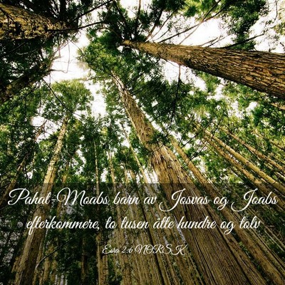 Picture 03 - Esra 2:6 NORSK - Pahat-Moabs barn av Josvas og Joabs efterkommere, - Bible Verse Picture