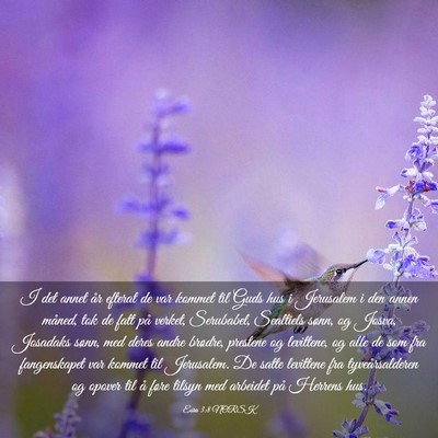 Picture 03 - Esra 3:8 NORSK - I det annet år efterat de var kommet til Guds - Bible Verse Picture