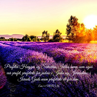 Picture 03 - Esra 5:1 NORSK - Profeten Haggai og Sakarias, Iddos sønn, som - Bible Verse Picture