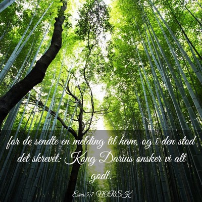 Picture 03 - Esra 5:7 NORSK - for de sendte en melding til ham, og i den stod - Bible Verse Picture