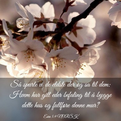 Picture 03 - Esra 5:9 NORSK - Så spurte vi de eldste der og sa til dem: Hvem - Bible Verse Picture