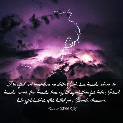 Picture 03 - Esra 6:17 NORSK - De ofret ved innvielsen av dette Guds hus hundre - Bible Verse Picture