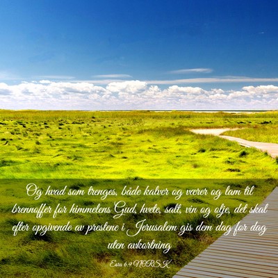 Picture 03 - Esra 6:9 NORSK - Og hvad som trenges, både kalver og værer og - Bible Verse Picture