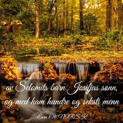 Picture 03 - Esra 8:10 NORSK - av Selomits barn Josifjas sønn, og med ham - Bible Verse Picture
