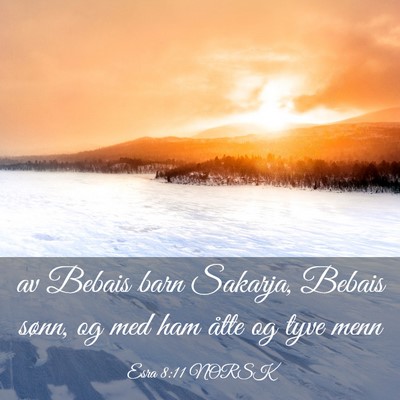 Picture 03 - Esra 8:11 NORSK - av Bebais barn Sakarja, Bebais sønn, og med ham - Bible Verse Picture