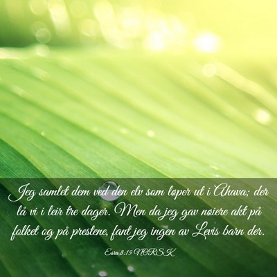 Picture 03 - Esra 8:15 NORSK - Jeg samlet dem ved den elv som løper ut i Ahava; - Bible Verse Picture