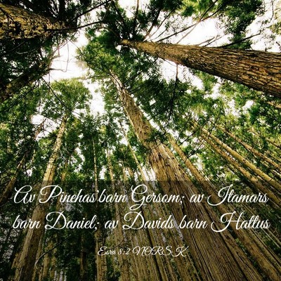 Picture 03 - Esra 8:2 NORSK - Av Pinehas'barn Gersom; av Itamars barn Daniel; - Bible Verse Picture