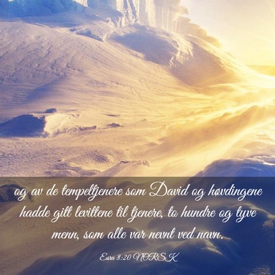 Picture 03 - Esra 8:20 NORSK - og av de tempeltjenere som David og høvdingene - Bible Verse Picture