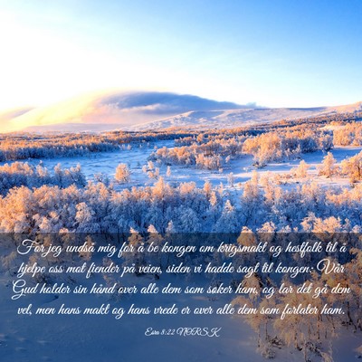 Picture 03 - Esra 8:22 NORSK - For jeg undså mig for å be kongen om krigsmakt - Bible Verse Picture