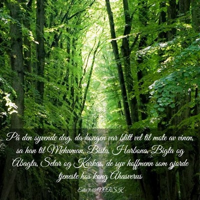 Picture 03 - Ester 1:10 NORSK - På den syvende dag, da kongen var blitt vel til - Bible Verse Picture