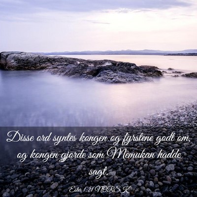 Picture 03 - Ester 1:21 NORSK - Disse ord syntes kongen og fyrstene godt om, og - Bible Verse Picture