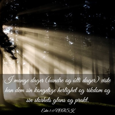 Picture 03 - Ester 1:4 NORSK - I mange dager (hundre og åtti dager) viste han - Bible Verse Picture