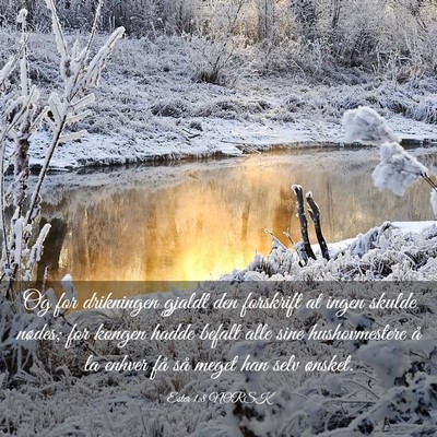 Picture 03 - Ester 1:8 NORSK - Og for drikningen gjaldt den forskrift at ingen - Bible Verse Picture