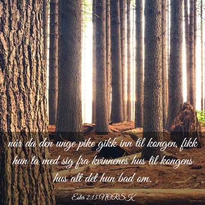 Picture 03 - Ester 2:13 NORSK - når da den unge pike gikk inn til kongen, fikk - Bible Verse Picture