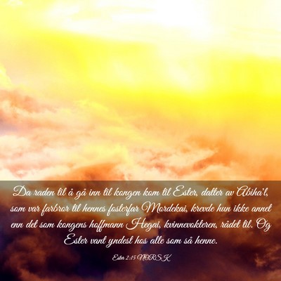Picture 03 - Ester 2:15 NORSK - Da raden til å gå inn til kongen kom til Ester, - Bible Verse Picture