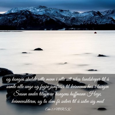 Picture 03 - Ester 2:3 NORSK - og kongen skulde sette menn i alle sitt rikes - Bible Verse Picture